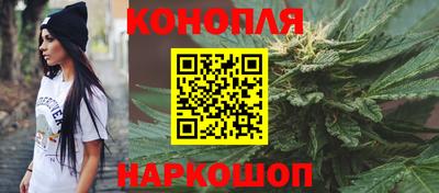 крисы Малгобек